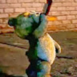 Meet your Posher, Brad